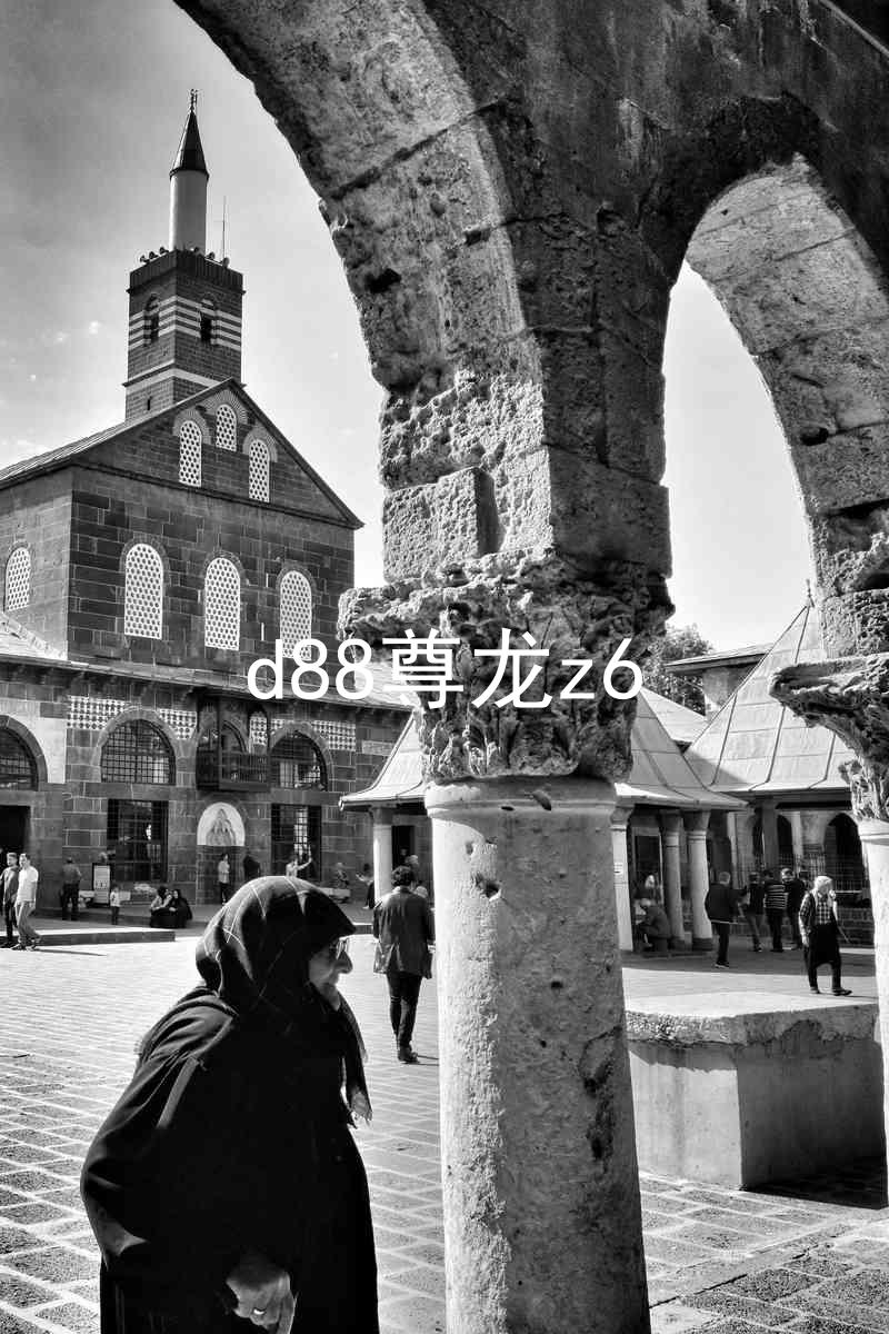 d88尊龙z6